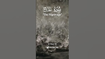 Surah Al Hajj 63 - Hindi - Urdu Audio Translation | سورة الحج‎  #alhajj #hajj2024