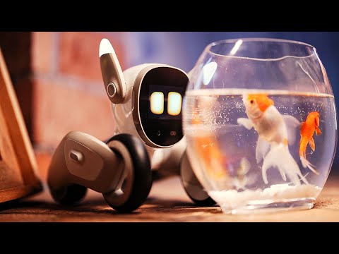 Loona - The Most Intelligent Petbot by Keyi Robots | Robotics Review