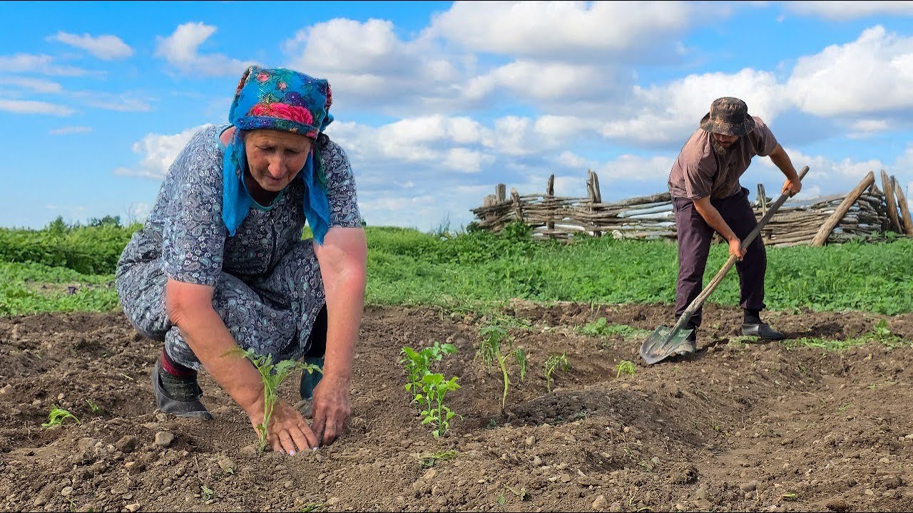 Cooking for the Whole Family Outdoors - Rural Traditions - Farm to ...