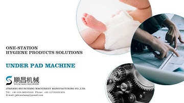 Automatic Dog Pet Patient Bed Sheet Under Pad Underpad Machine Production Line | SHUNCHANG