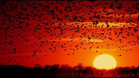 Joint Simulation of Random Variables