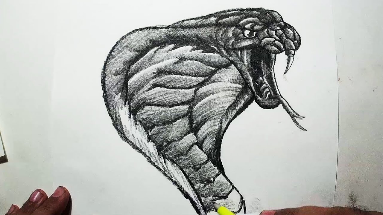 how to draw a realistic snake head