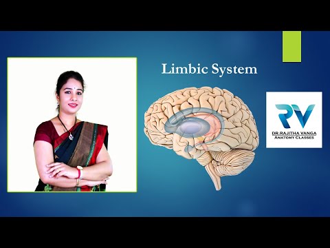 Limbic System by Dr. Rajitha Vanga