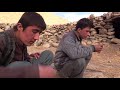 مستند چوپانها در فصل خزان herder documentary