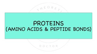 Amino Acids & Peptide Bonds (Proteins) (Pre-U Biology - STPM / Matriculation /A-Levels)