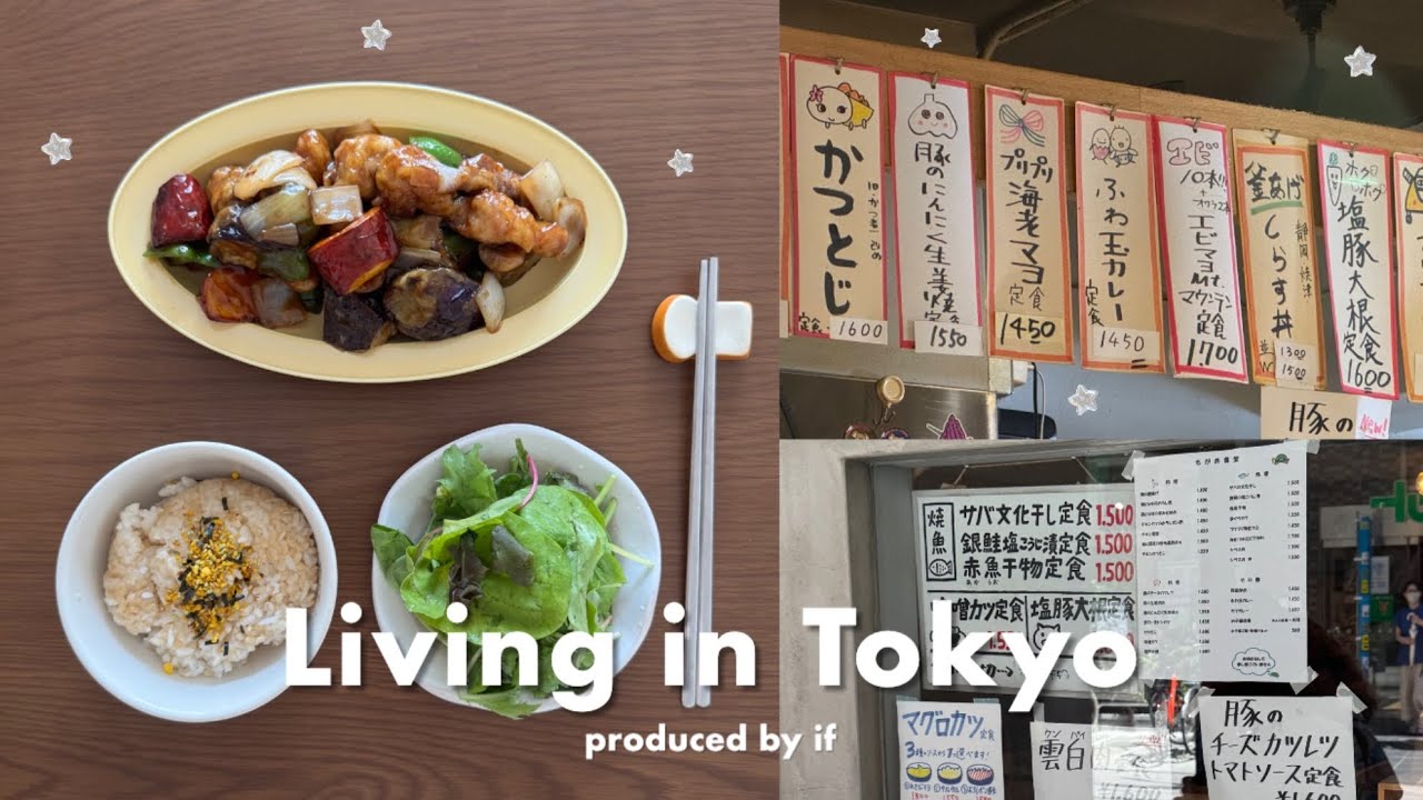 도쿄 자취생 브이로그 🥙 | 가지덮밥, 일본식 탕수육, 마파두부 만들어먹고 마트에서 한보따리 장보기🛒 | 무난했던 일주일 기록 🙏🏻