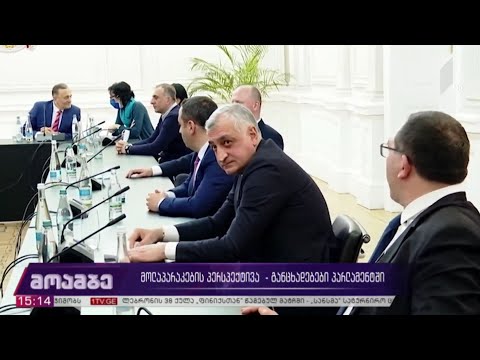 მოლაპარაკების პერსპექტივა - განცხადებები პარლამენტში