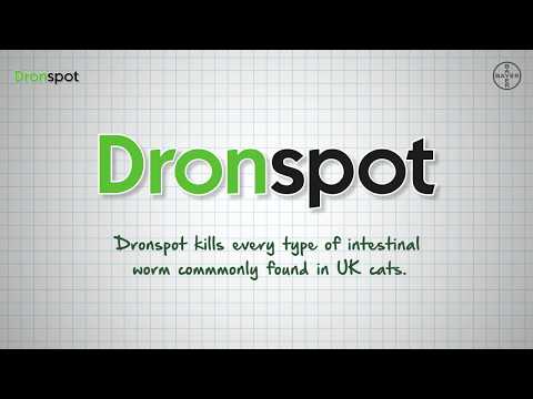 dronspot®-spot-on-wormer-for-cats---how-it-works-(bayer)