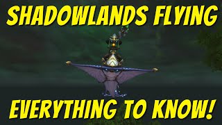 Unlocking Flying In Shadowlands: EVERYTHING you need to know!