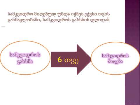 წესდებები salome narimanidze  iliauni legal clinic