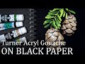 Trying Turner Acryl Gouache on BLACK PAPER // Pinecone painting demo