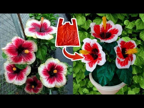 Video: Kraftangan DIY Dari Daun Musim Luruh