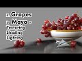 2. Creating Grapes in Maya | Texturing Shading Lighting  | Learn Maya Step by Step