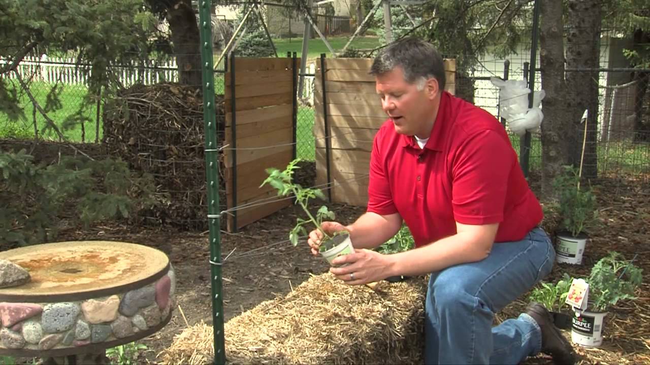 Straw Bale Gardening Youtube