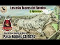 DE LOS MAS BRAVOS DEL#rancho#Toro EL AGUACATERO¡¡VISTAMOS A RANCHO EL MILAGRO DE PASO ROBLES CA 2024