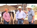 P189 Gran trabajo de la familia Cortés y sus 20 vacas