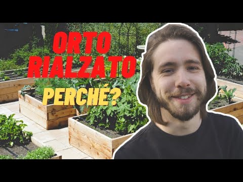 Video: Come costruire un'aiuola - Iniziare un'aiuola da zero - Know How di giardinaggio
