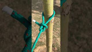 How To Tie A Fixed Knot 👌