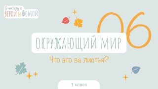 Что это за листья? Окружающий мир, урок 6. 1 класс (аудио). В школу с Верой и Фомой (6+)