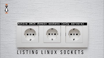 Understanding Linux Sockets and the LDAPI Interface