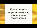 Юмор.Дорогая,я на Охоту... Веселая открытка для настроения.Анекдоты.Шутки.