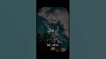 سوره الكهف.      #اكسبلور #المصحف #دويتو #القزابري #لايك #الرحمن #حالات_واتس #الظروف #ترند #العظماء