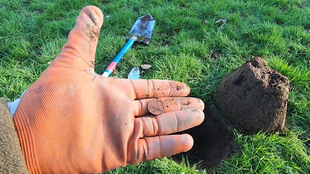 Каждый раз, когда я использую металлоискатель, этот парк выглядит по-разному.