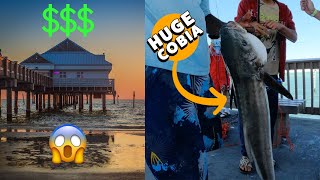Fishing at the Clearwater Pier 'Pier 60' Pros and Cons