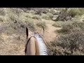 Getting to the horses mind while trail riding