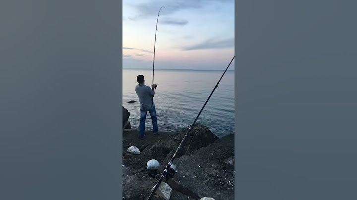 KARADENİZ EŞKİNA AVI OLTAYA VURUŞ ANI