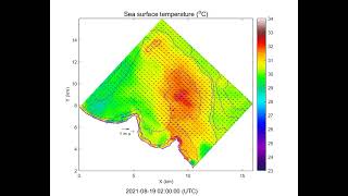 Tangalan srf temp