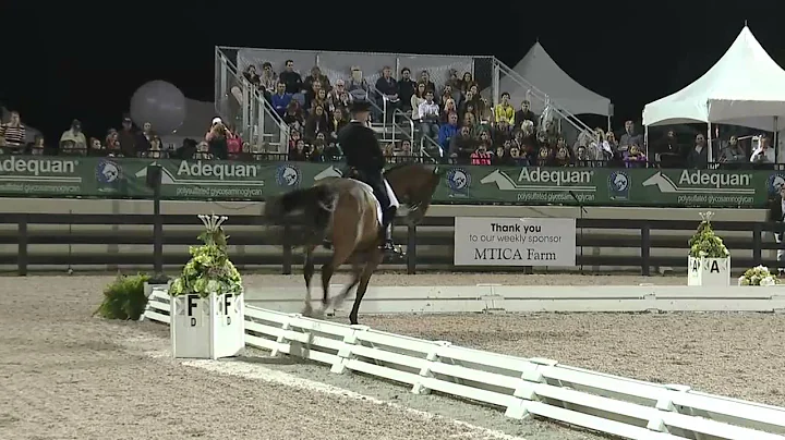 Winning Ride: AGDF 1 GP Freestyle - Lars Petersen ...
