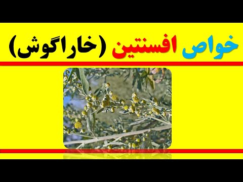 تصویری: فواید بالش کتان