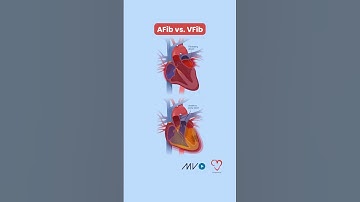💓 AFib vs. VFib 💓