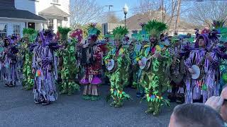 Quaker City String Band at the 2024 St. Patrick’s Day Parade in Gloucester City, NJ