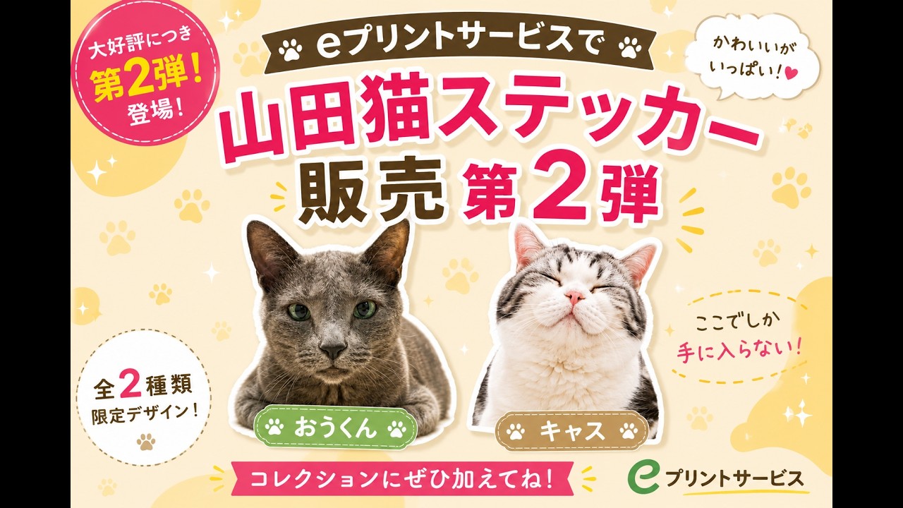 猫*ヨ様 茶色うんぴさん（手作り・サイン付き） YouTube