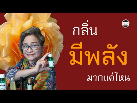 เลือกซื้อน้ำมันหอมระเหยอย่างไรให้ได้ของแท้ | 60+| @Health & Spa GURU by พรรณวลัย  | Ep 292