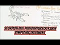 Scorpion bite pathophysiologysign symptomstreatment umerfarooqbiology7083