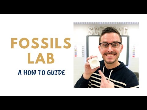 How to Make Fossils