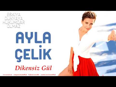 Ayla Çelik Dikensiz Gül