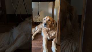 Amerikada Sıra Dışı Bir Pazar