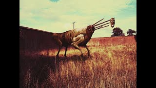 Unnerving Images with Unnerving Music (6)