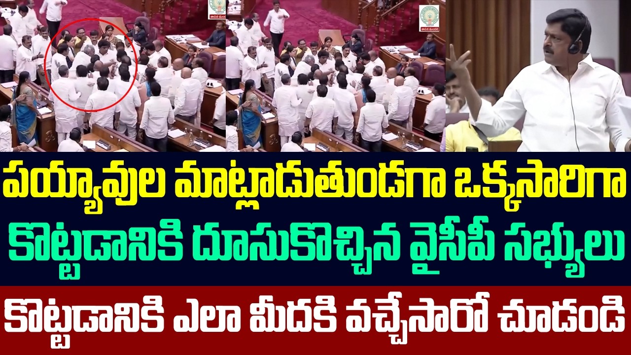 పయ్యావుల మాట్లాడుతుండగా ఒక్కసారిగా కొట్టడానికి దూసుకొచ్చిన వైసీపీ సభ్యులు | Payyavula Keshav Speech