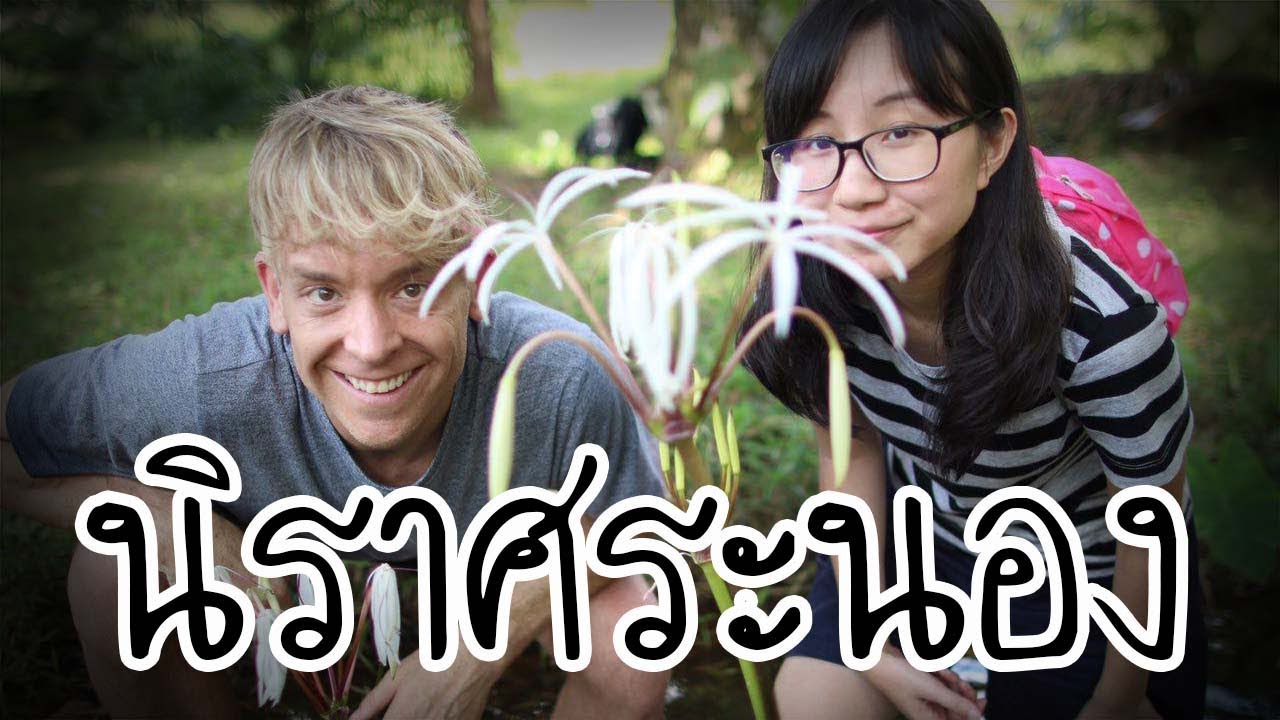 โดนบังคับเที่ยวระนอง ft. Picnicly | Point of View On Tour Ep. 17