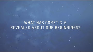 The Rosetta Mission Asks: What Has Comet C-G Revealed About Our Beginnings?