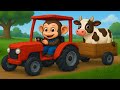 Injured Cow Incident Monkey Farmer Transports Cow With Tractor Farm Work Cobby Farm 