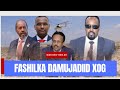 Degdeg xildhibaan kulane oo soo bandhigay fashilka damjadiidxasan shiikh oo awooda dowlada