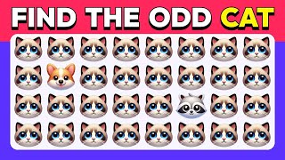 Find the ODD One Out - Edition 🐵🐶🐱 Ultimate Easy, Medium, Hard Levels Quiz