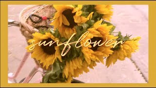 Sunflower (Shannon Purser) | Cover