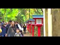 高尾山